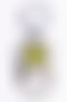 CustomApronsNow.Com