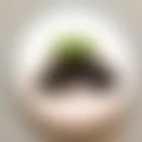 TableCoversNow.Com
