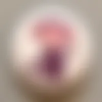 TableCoversNow.Com