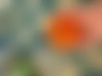 CustomApronsNow.Com