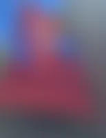 TableCoversNow.Com - Rectangle Flag