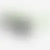 White-Lime Green