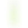 Avocado Green