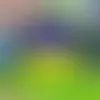Custom Prevent Foreclosure Yard Sign