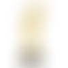 Honor Trophy