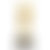 Golden Star Trophy