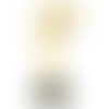 Hope Star Trophy