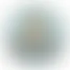 Chenille Button