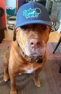 CustomApronsNow.Com - Full Color TPU