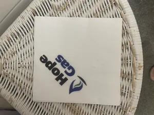 CustomApronsNow.Com - Custom Paper Luncheon Napkins