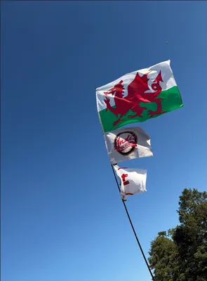 Rectangle Flag - Thank you for getting my Andis Angels team flag to me so quicklyHere it is flying high alongside the Welsh flag and England shirt