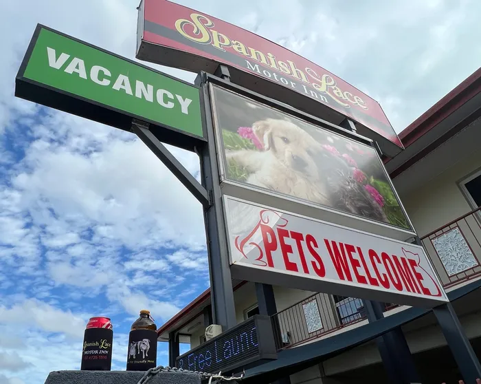 CustomApronsNow.Com - Full Color Collapsible