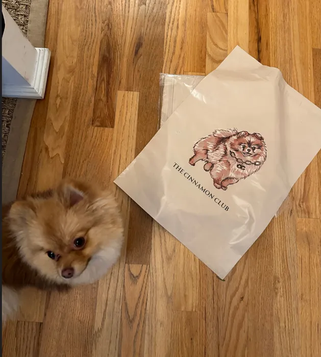 CustomApronsNow.Com - Custom Poly Mailer