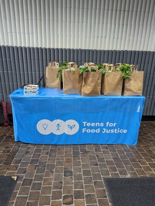 CustomApronsNow.Com - Custom Rectangle Table Covers