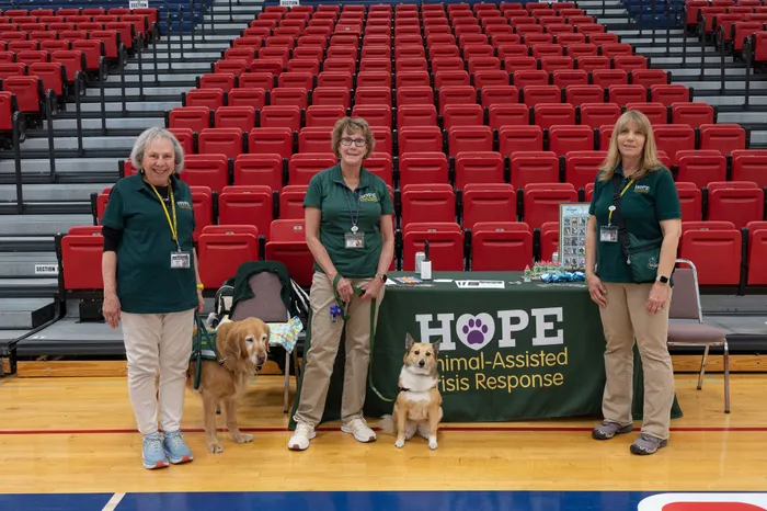 CustomApronsNow.Com - Custom Rectangle Table Covers