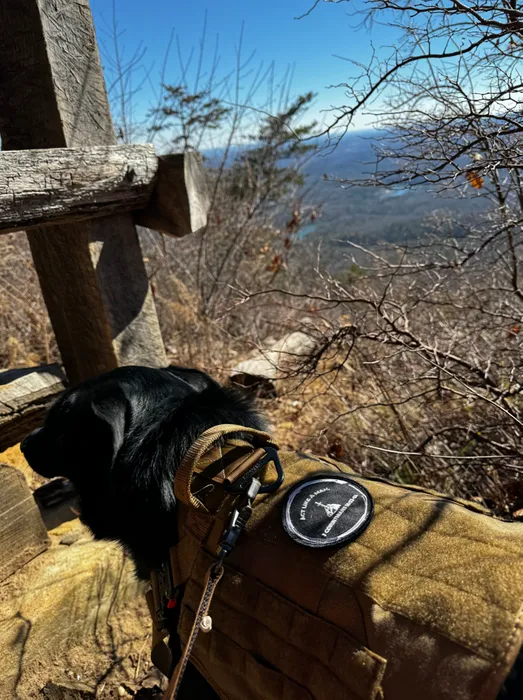 TableCoversNow.Com - Embroidered Patches