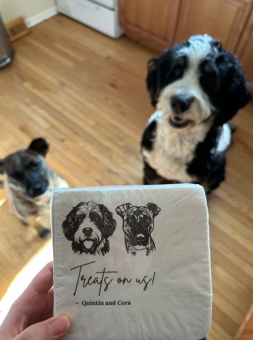 CustomApronsNow.Com - Custom Beverage Napkin