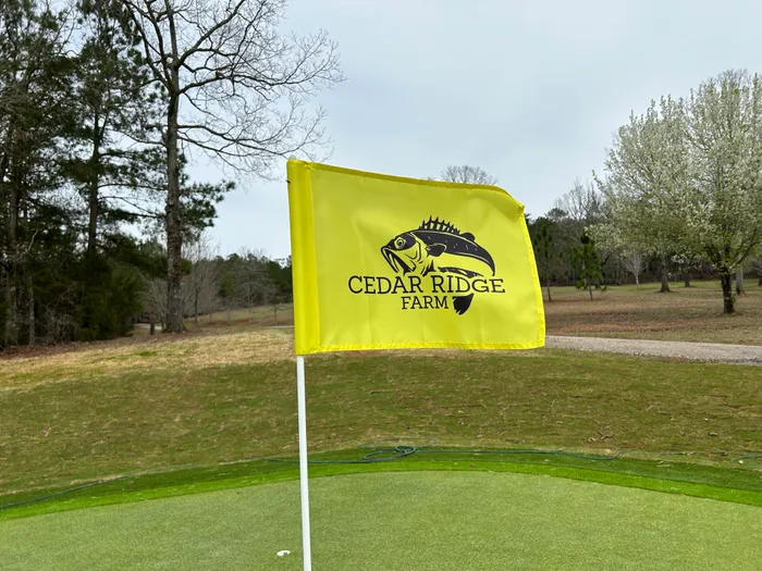 CustomApronsNow.Com - Golf Flag