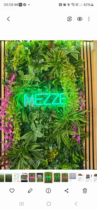 TableCoversNow.Com - Custom Neon Sign