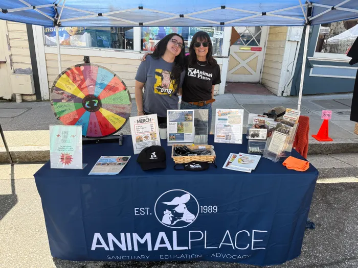 CustomApronsNow.Com - Custom Rectangle Table Covers