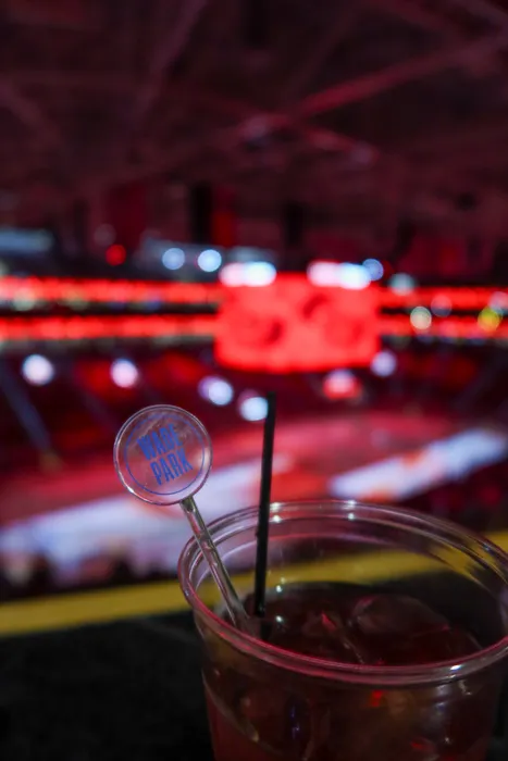 TableCoversNow.Com - Transparent Stir Sticks