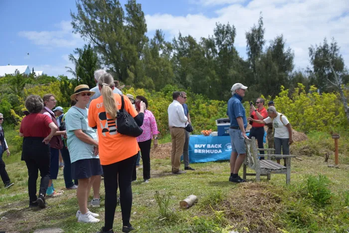 TableCoversNow.Com - Custom Rectangle Table Covers