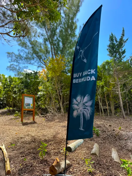 TableCoversNow.Com - Feather Flag