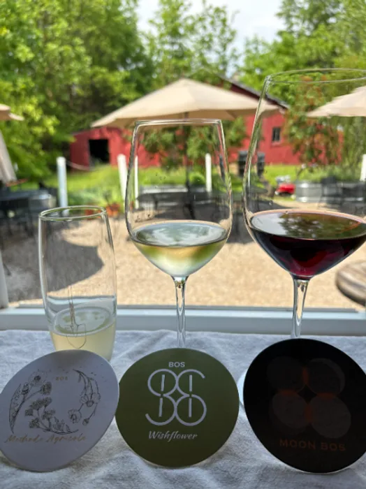 CustomApronsNow.Com - Pulpboard Coasters