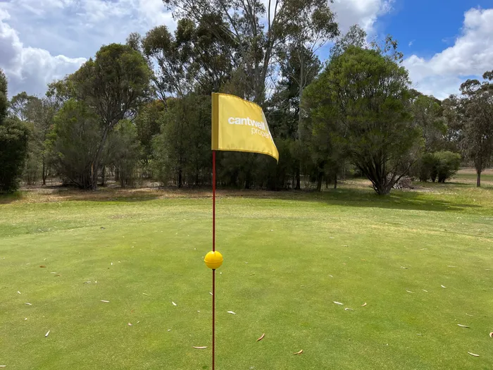TableCoversNow.Com - Golf Flag