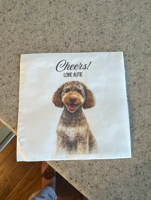 CustomApronsNow.Com - Custom Paper Beverage Napkin