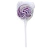 Swirl Lollipop with Round Label 