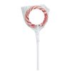 Swirl Lollipop with Round Label 
