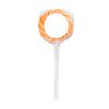 Swirl Lollipop with Round Label 