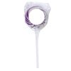 Swirl Lollipop with Round Label 