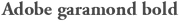 Adobe garamond bold