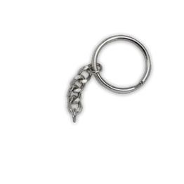 Silver Split Ring + Short Chain Silver Split Ring + Short Chain