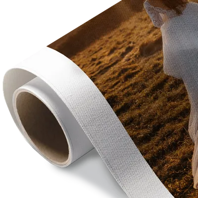 Rolled Canvas Rolled Canvas - Custom Aprons Now