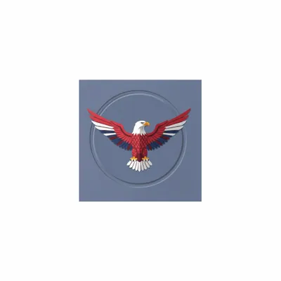 5 in x 5 in - Custom Aprons Now