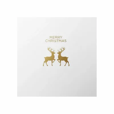 Standard - Custom Aprons Now