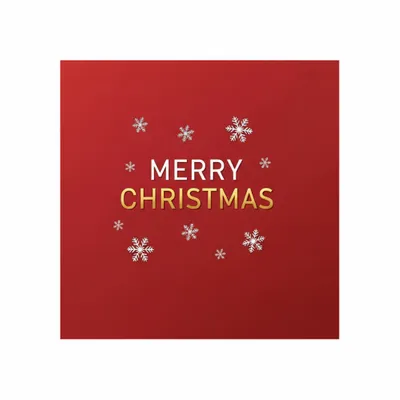 Standard - Custom Aprons Now