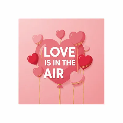 Standard - Custom Aprons Now