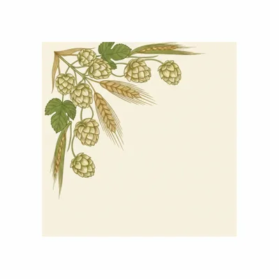 8 in x 8 in - Custom Aprons Now