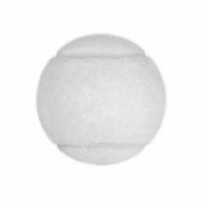 White - Table Covers Now