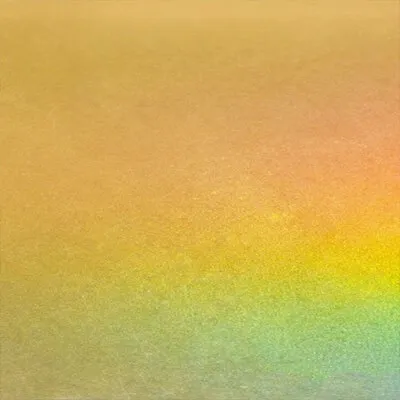 Metallic 09 - Custom Aprons Now