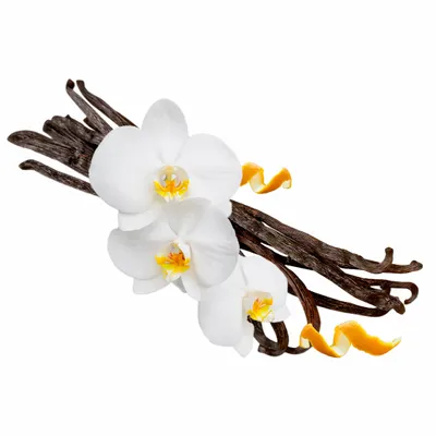 Vanilla - Table Covers Now