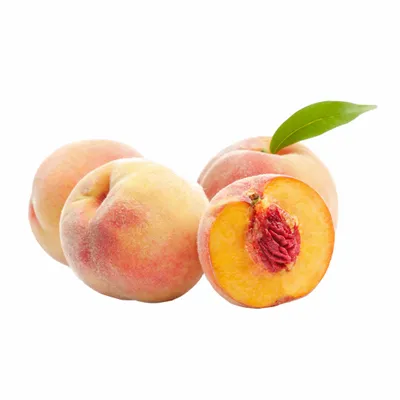 Peach - Table Covers Now