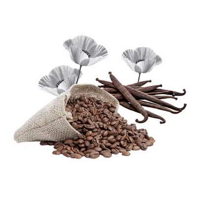 Black Opium - Table Covers Now