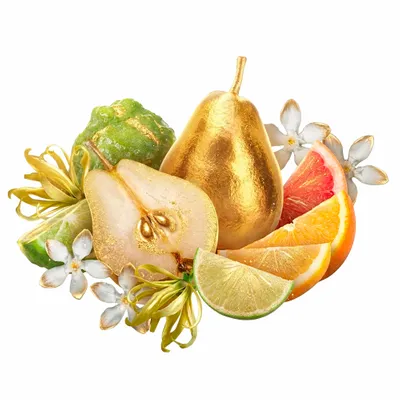 Golden Adore - Custom Aprons Now