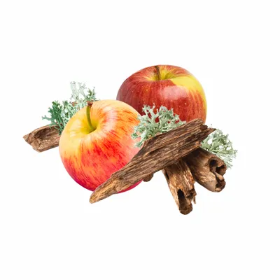 Oak Moss - Table Covers Now