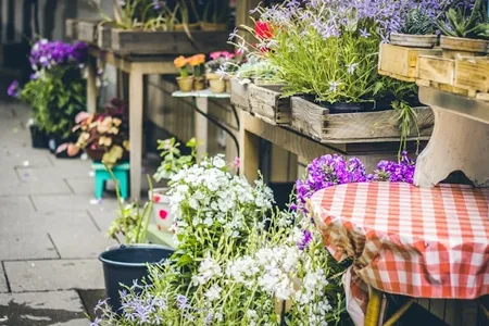 How to Get Wrinkles Out of Vinyl Tablecloth (Quickly And Effectively)